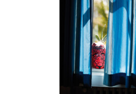  Michael Englert Fotograf