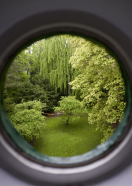  Michael Englert Fotograf