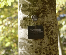  Michael Englert Fotograf