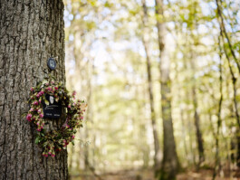  Michael Englert Fotograf