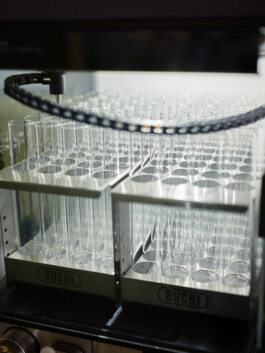  Michael Englert Fotograf