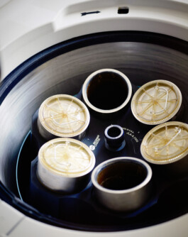  Michael Englert Fotograf